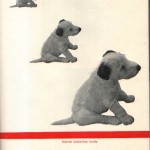 threepups