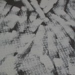 celia-6