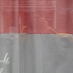 grouper-14