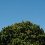 hiking-2