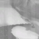 tumblr_lnz041NXbt1qmw75so1_500