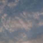 havre-2