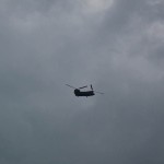 hiwiremoves-13