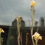 flushing-8