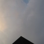 lingeron-5