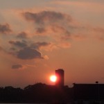 nyer-6