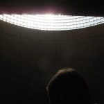 babybird-16