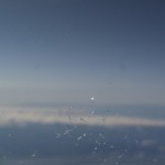 clams-1