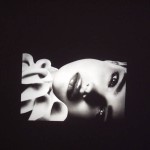 shelly