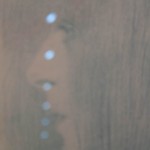 felt-17