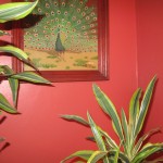 exmas-7