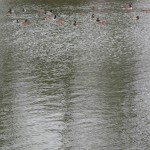 hardweird-14