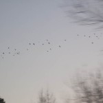 milling-29