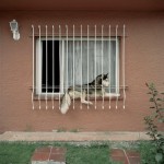 tumblr_lw23t2yNGK1r6pfn4o1_500