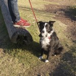 headlands-3