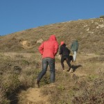 headlands-4