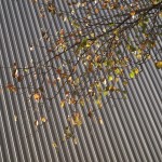 newdimensions-10