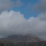 surjan-15