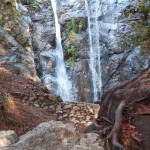 surjan-24
