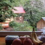 surjan-5