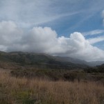 surjan-8