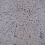 thewell-2
