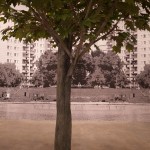 thewell-29