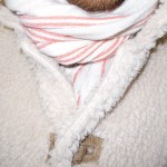 whitney-7
