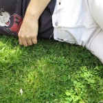 nowwow-11