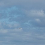 shuttle-2