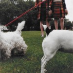 timwalker7