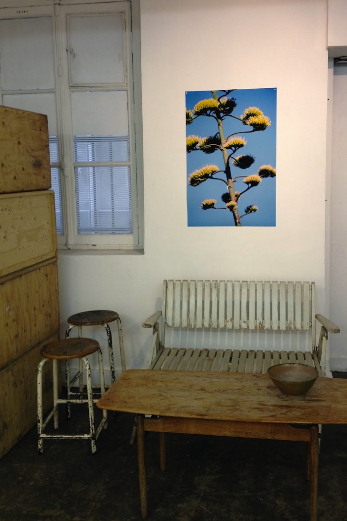 Ensuite+The+Plant+0fr+5