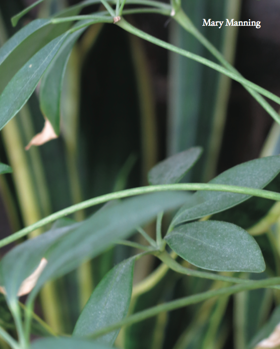 Screen Shot 2014-06-28 at 10.03.11 AM