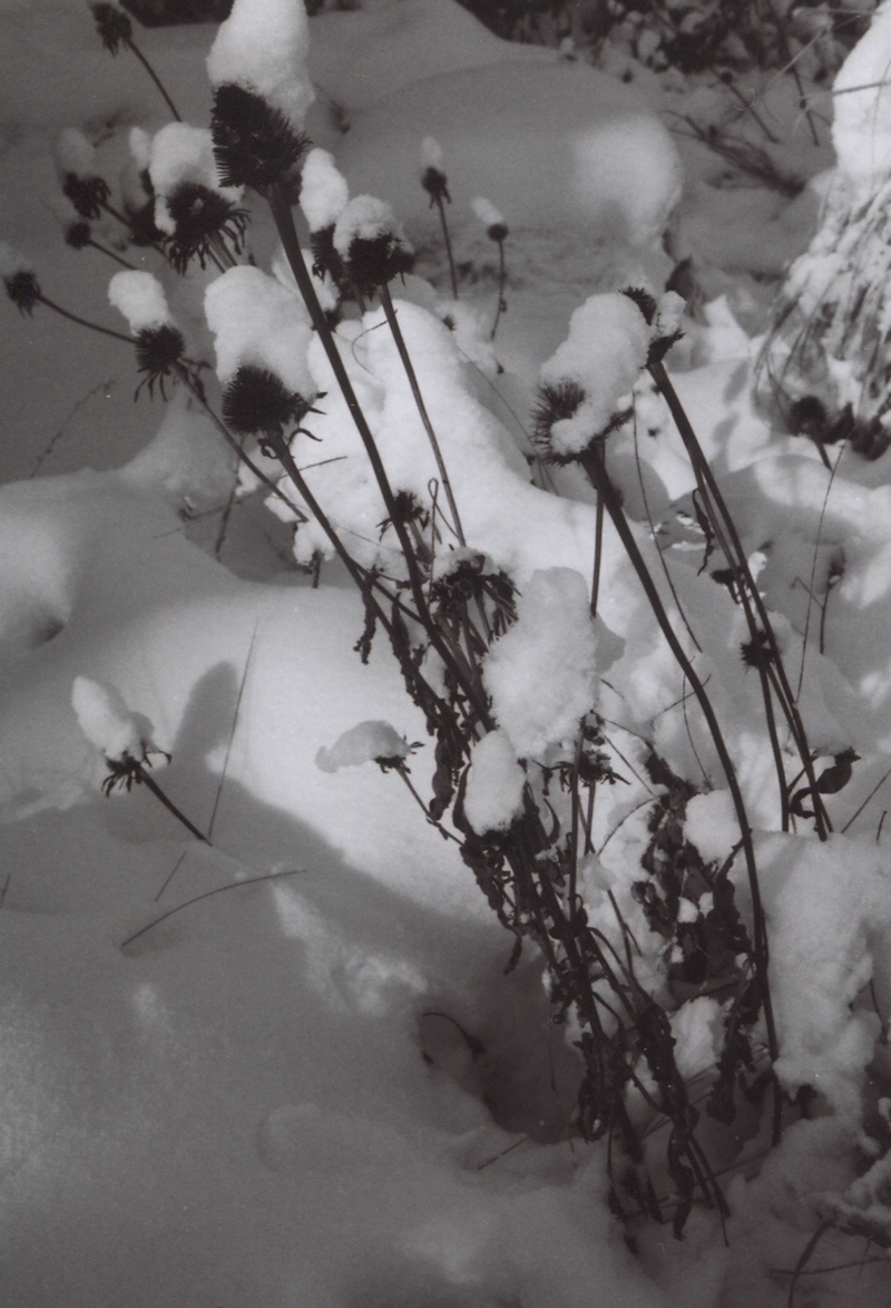 winter14film-17